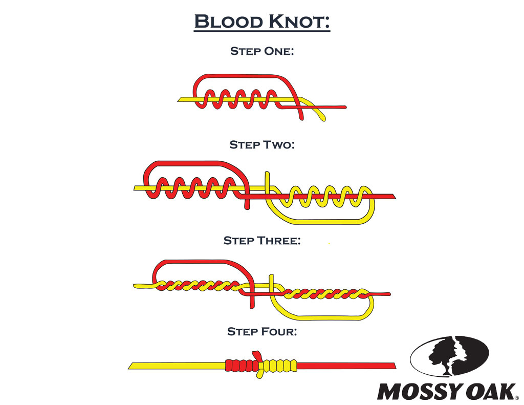 Best 5 Fishing Knots For Lure 
