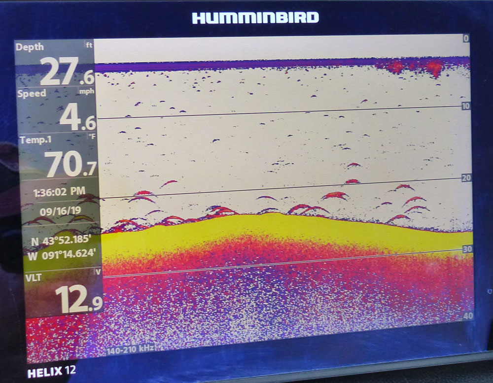 Where and How to Find Walleye: Fish Finder Tips - Humminbird