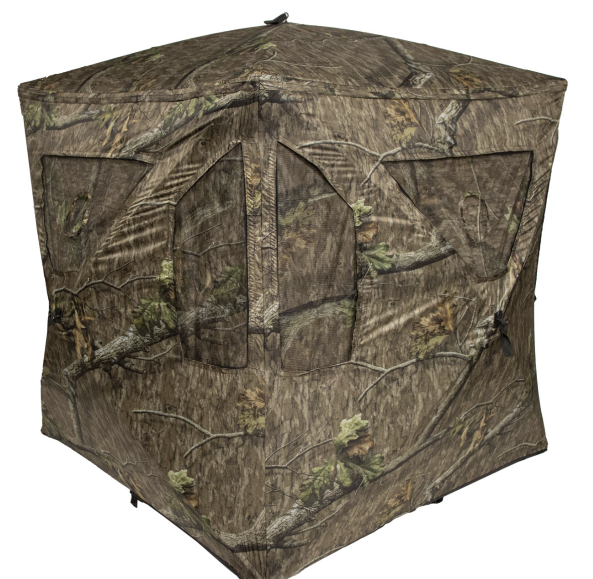 ground blind