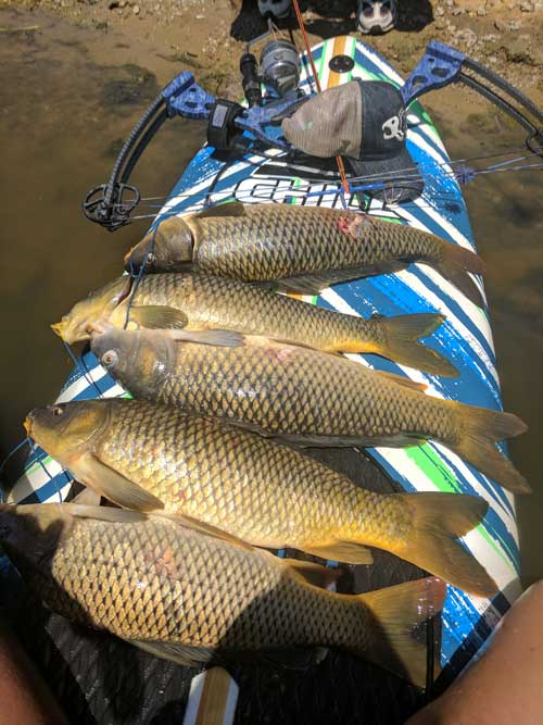 Why You Should Try Bowfishing This Summer