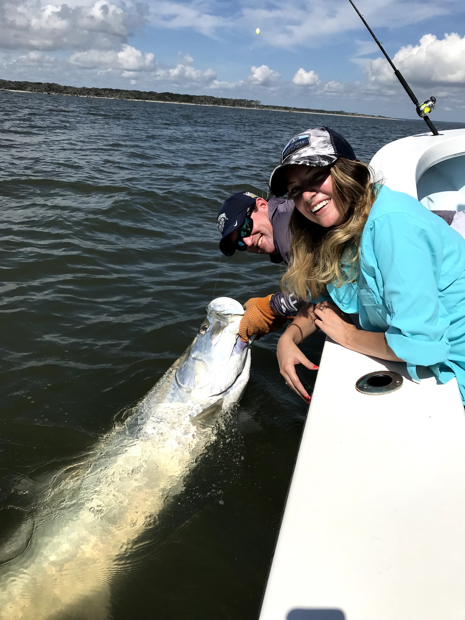 tarpon