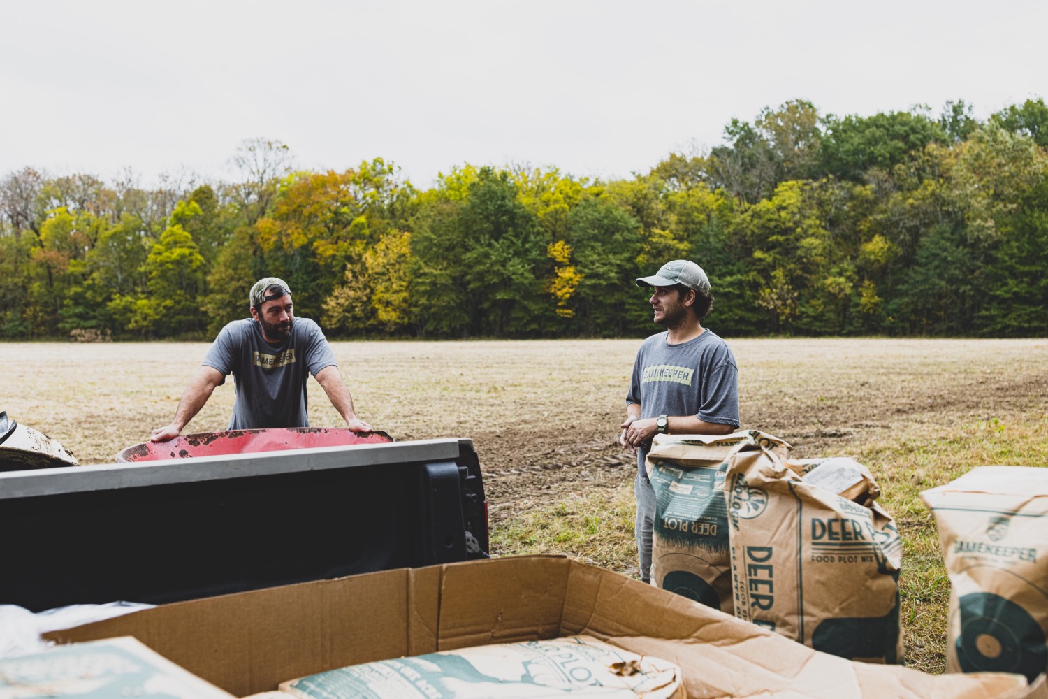 deer plot planting