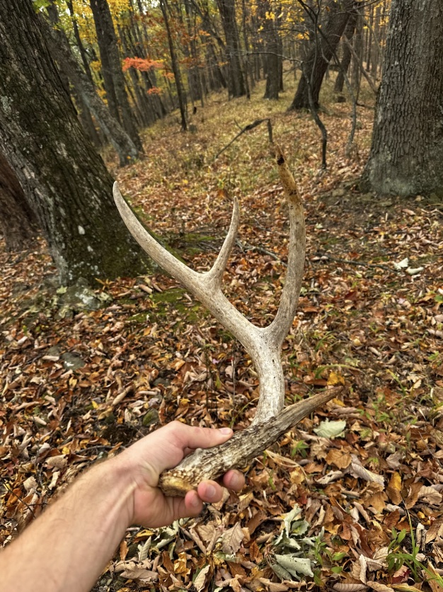 finding sheds