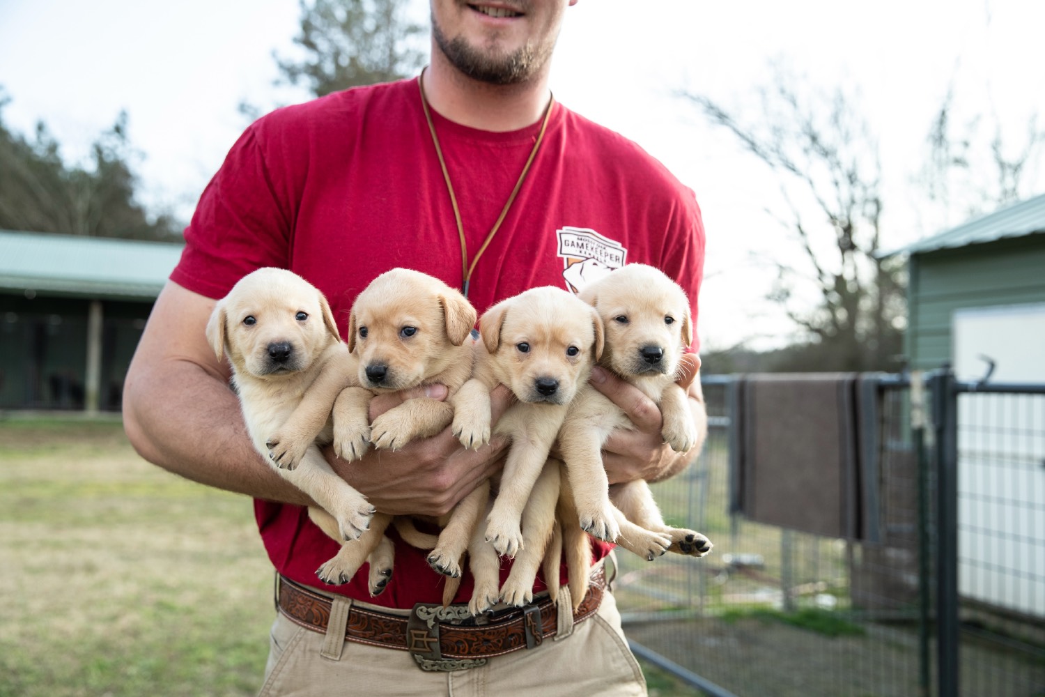 gamekeeper puppies