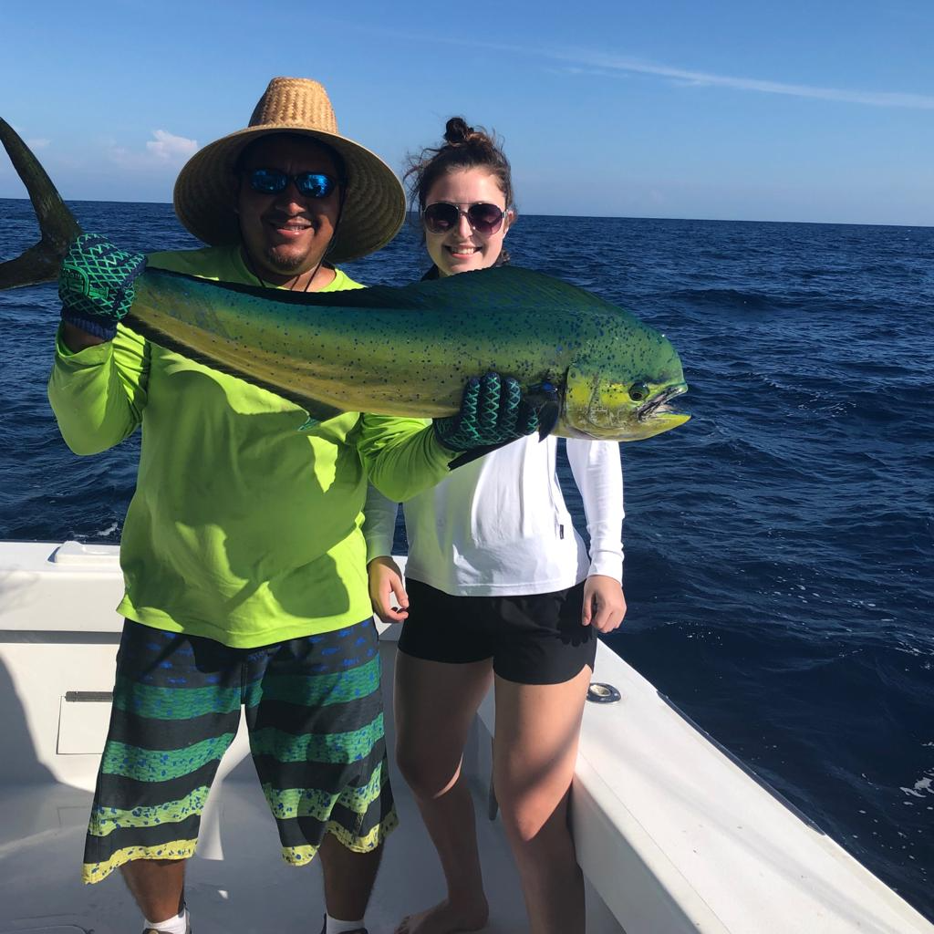 mahi mahi