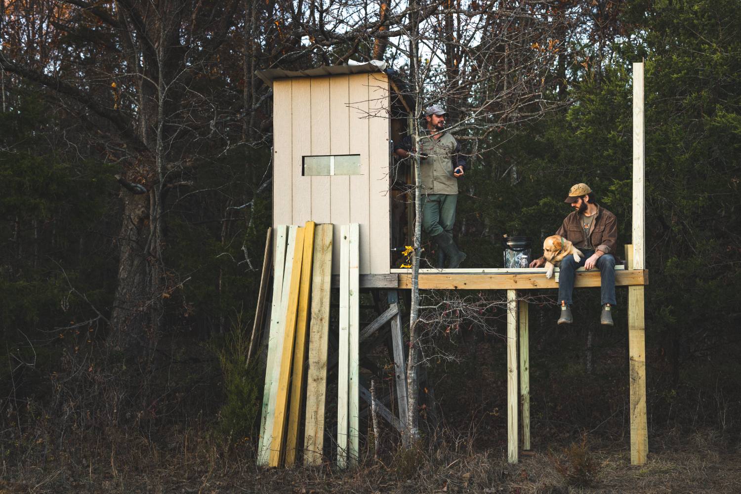 tree stand