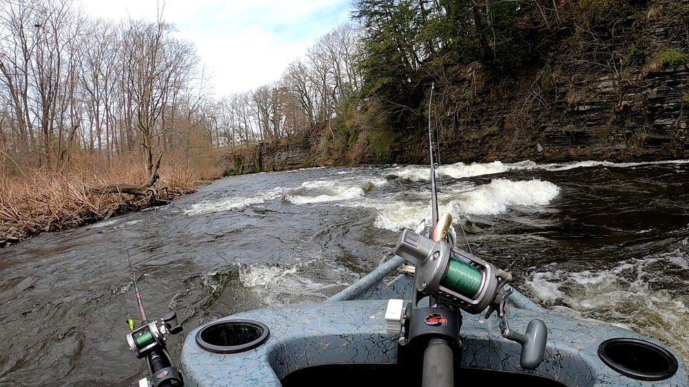 Spring Run is a great little - Mossy Creek Fly Fishing