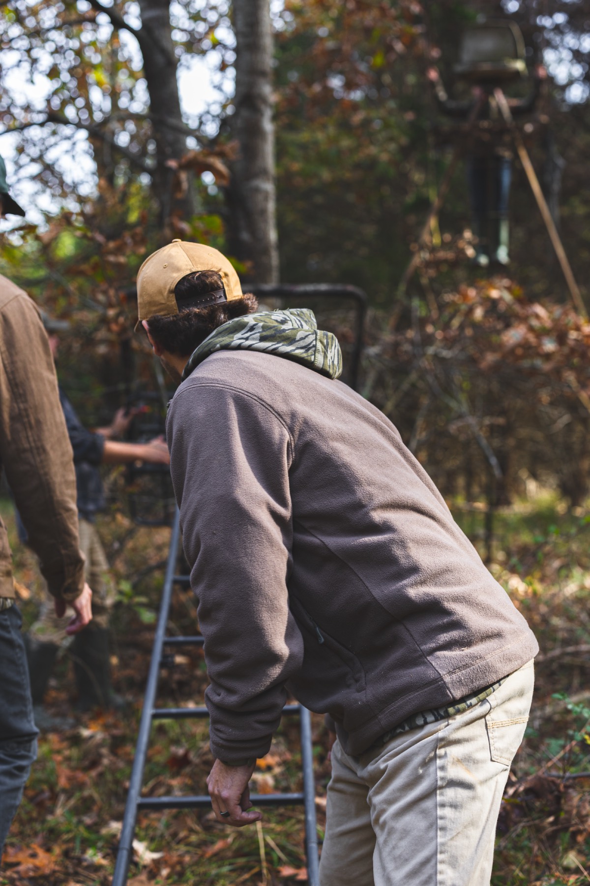 tree stand height