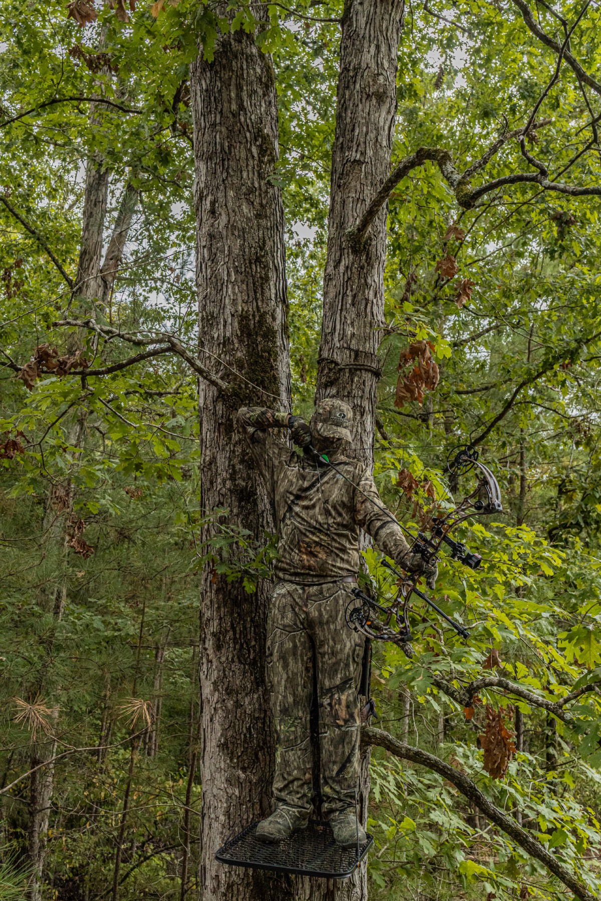 treestand