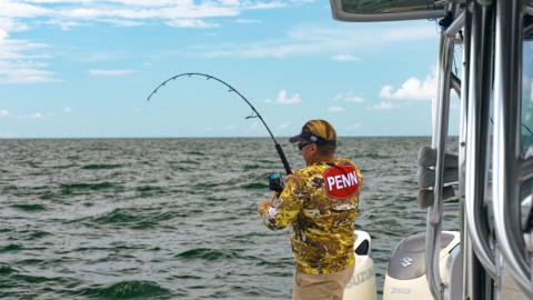 Offshore Fishing: Live Baiting for Tuna