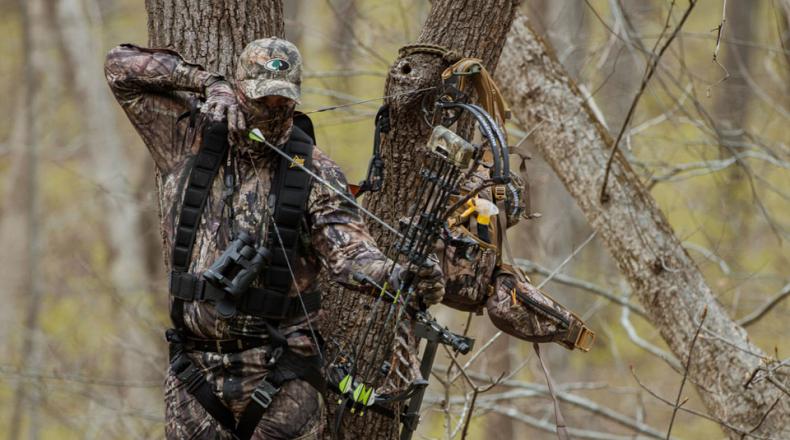 Tree stand clearance